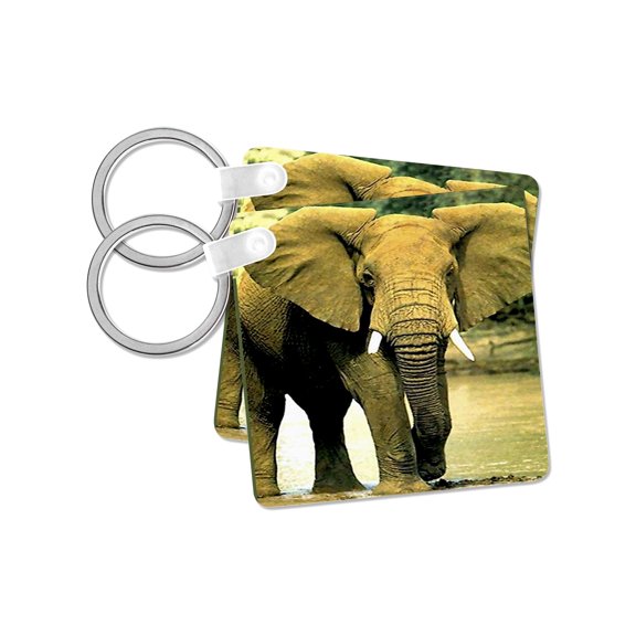 3dRose, African Elephant, set of 2 Key Chains