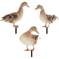 Qumonin Metal Duck Garden Stakes, Yard Art Animals for Outdoor Decor (YKLU071A B C)