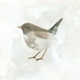 thumbnail image 2 of Vess, June Erica 15x15 White Modern Wood Framed Museum Art Print Titled - Feathered Fresco I, 2 of 4