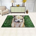 thumbnail image 3 of Coolnut Lightweight Carpet Mats, 31 x 20 inches Area Soft Rugs Floor Mat Doormat Decoration for Rooms Entrance Cute Dog with Paws On His Head, 3 of 6