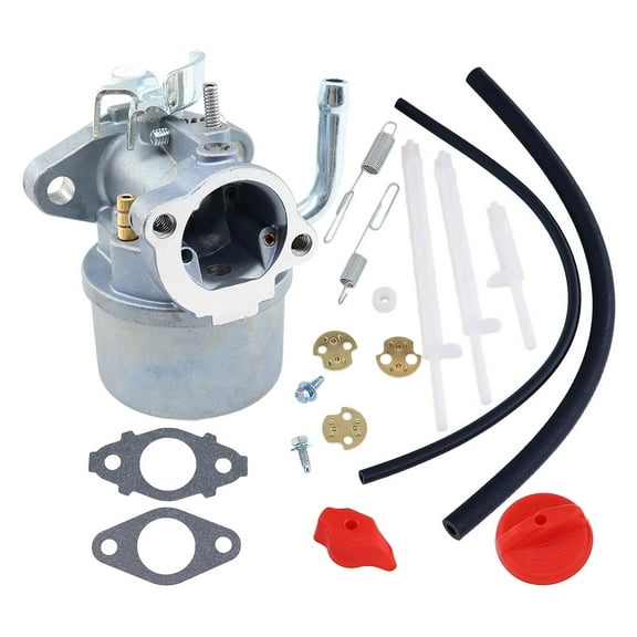 Carburetor for Briggs & Stratton 798917 695727 790558 791292 791953 794587 Gasket Snowblower