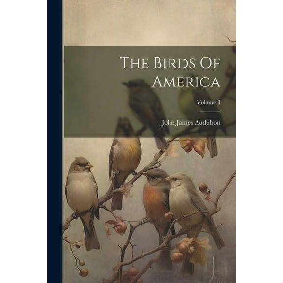 The Birds Of America; Volume 3 (Paperback)