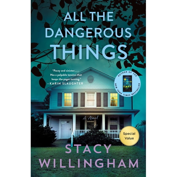 All the Dangerous Things: A Novel (Paperback)