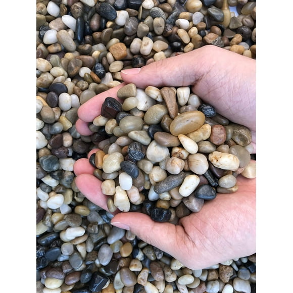18 Pebbles River Rock Stones, Natural Decorative Polished Black White Bean Pebbles Gravel,Outdoor Decorative Stones for Plant Aquariums, Landscaping, Fillers