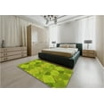 thumbnail image 4 of Ahgly Company Indoor Rectangle Patterned Chameleon Green Area Rugs, 2' x 4', 4 of 6