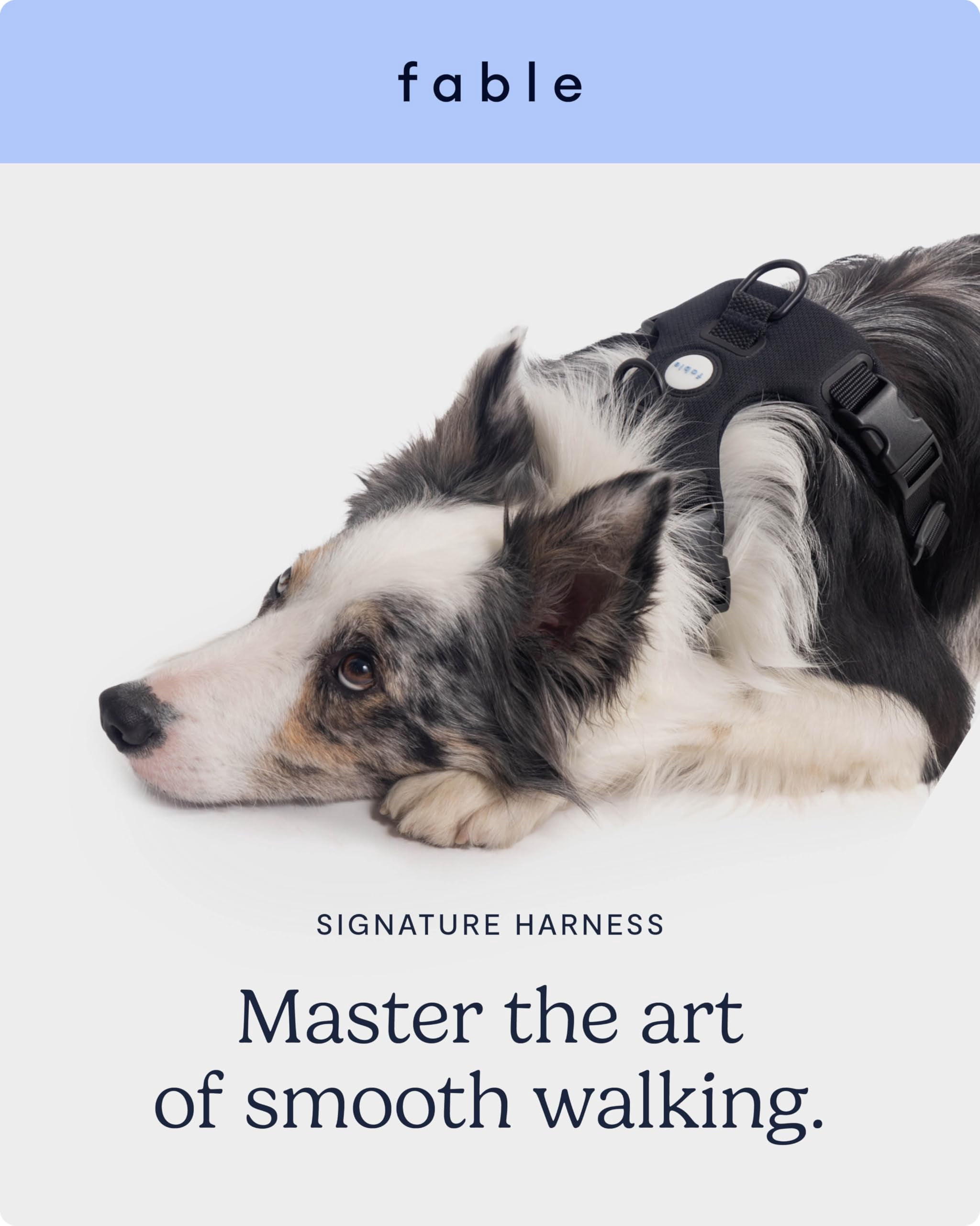 Fable Signature Harness for Dogs - Minimalist Extra Small Black Dog Harness with