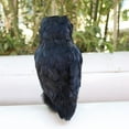 thumbnail image 6 of Artificial Feathered Fake Owl, Realistic Animal Statues Simulation Ornaments, for Home Tabletop Décor, Garden Decoy, 6 of 8