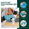 thumbnail image 4 of Kuoser Dog Cooling Vest, Breathable Mesh Cooling Jacket for Dog, Blue, XXL, 4 of 7