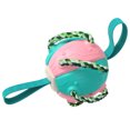 thumbnail image 1 of PET PET PLÁSTICO Balón de fútbol multifuncional Interactivo Interactivo Bolas de masticación de juguete Parque delantero Patio Piscina Juegue con cuerda Rosa Azul Inevent PT000725-01, 1 of 7