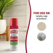 Natures Miracle Cat Stain and Odor Remover Foam for Carpet, Hard Floors, Fabric and Furniture, 17.5 oz