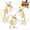 Set 3, variant on Halloween Skeleton Decoration Posable Fake Skeleton with Dog Spooky Animal Skeleton for Party Props Outdoor Porch Décor Accessories 2.95ft 2-Pack