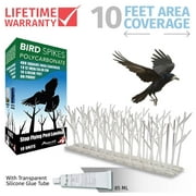 Aspectek Plastic Bird Deterrent Kit, Polycarbonate Bird Spikes, Pigeon Repellent, Covers 10 Feet with Transparent Silicone Glue Tube