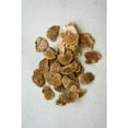 thumbnail image 4 of Kalalou Inc Bag Of 48 Dried Sponge Mushrooms, 4 of 4