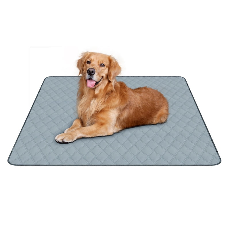 RIOUSSI Washable Pee Pads for Dogs, Puppy Pads for Potty Training with Leakproof Bottom. Light Grey, 1 Pack, 36"x72"