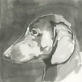 thumbnail image 2 of Cartissi   15x15 White Modern Wood Framed Museum Art Print Titled - A Very Neutral Modern Dog II, 2 of 4
