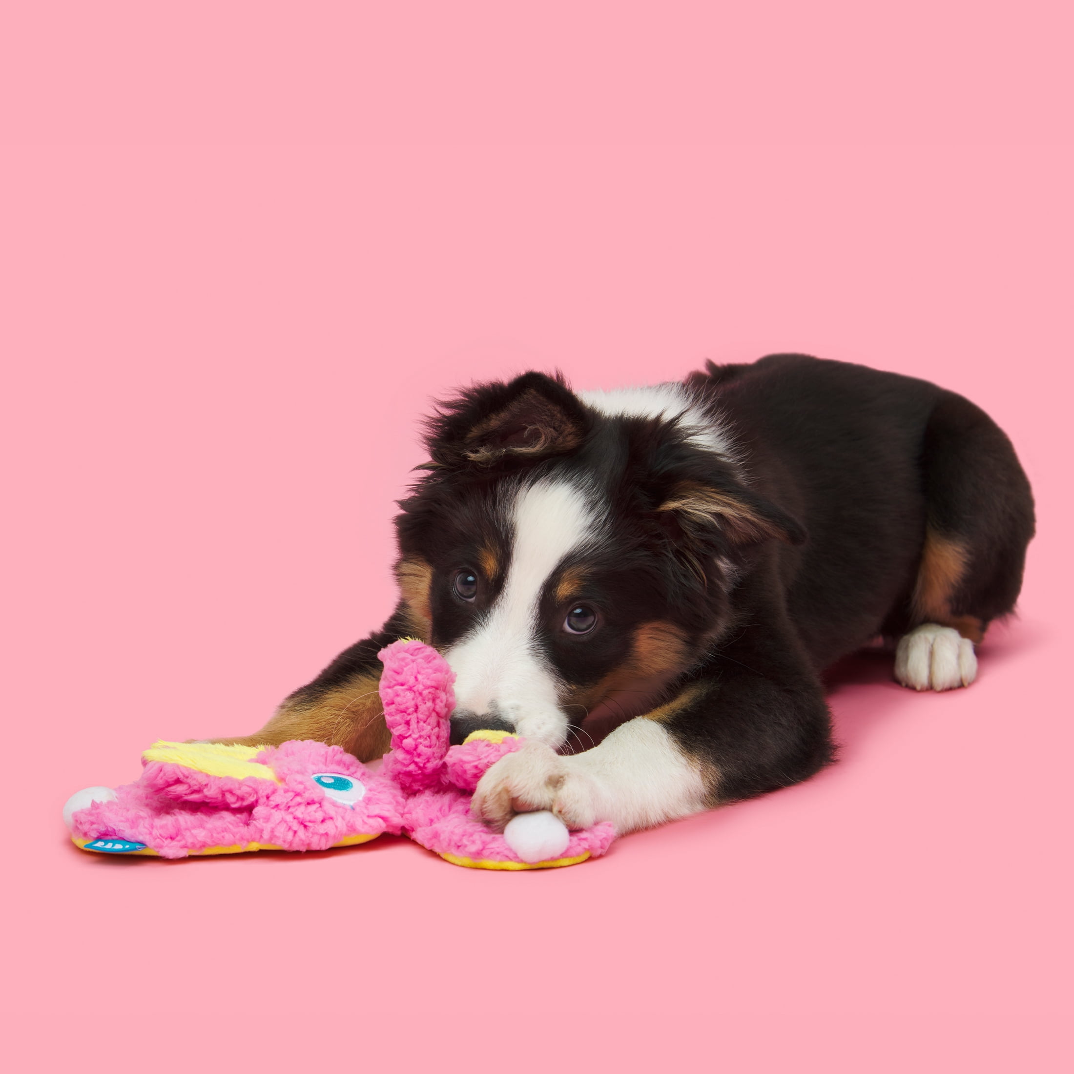 BARK Flopsy and Bobpsy Slippies Dynamic Duo Dog Toys, Barkfest in Bed, For Extra Small to Small Dogs