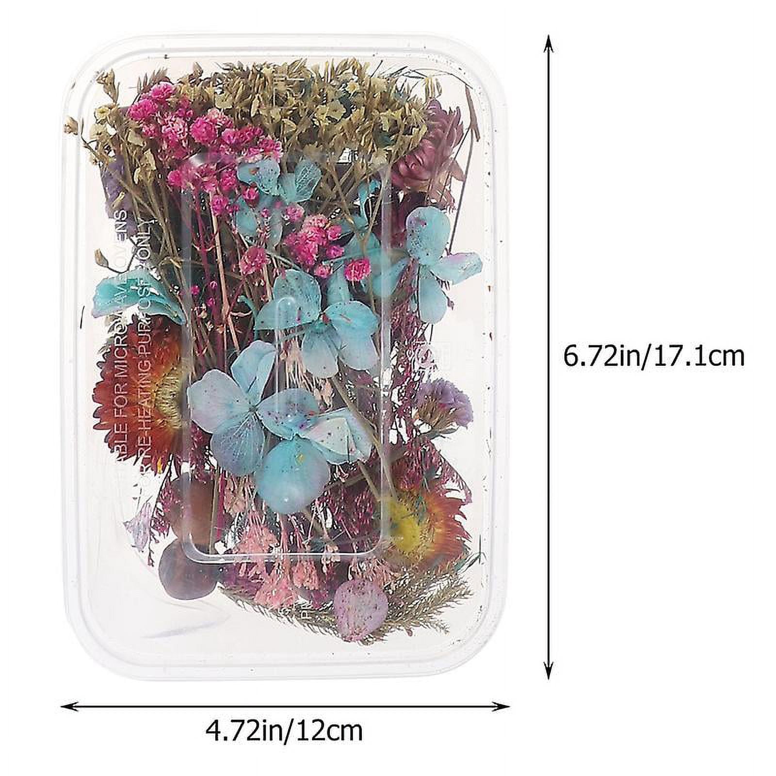 2pcs Mini Dried Flower