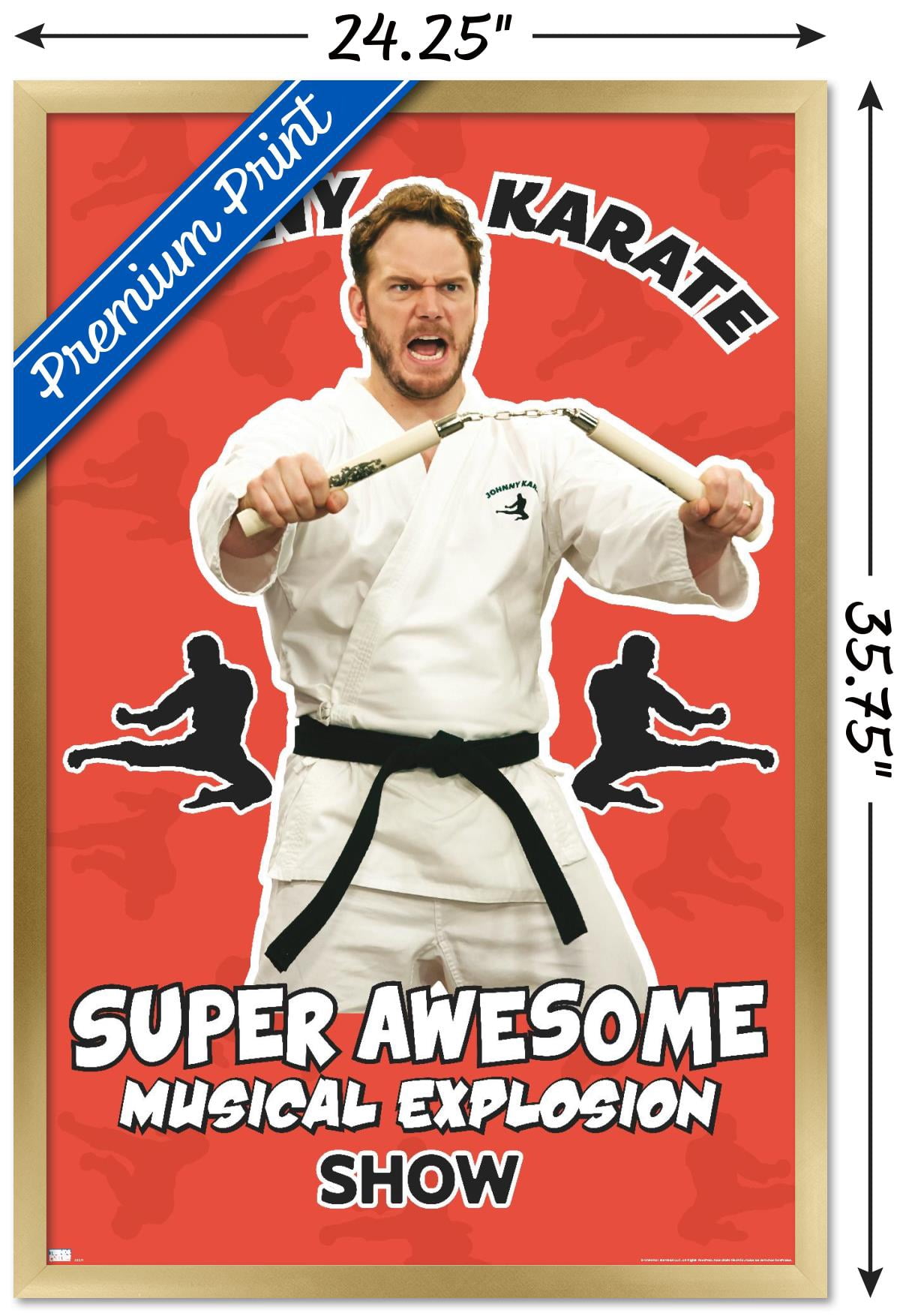 Parks and Recreation - Johnny Karate Wall Poster, 22.375" x 34" Framed