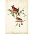 thumbnail image 2 of Audubon, John James 23x32 Gold Ornate Wood Framed with Double Matting Museum Art Print Titled - Common Cardinal Grosbeak, 2 of 4