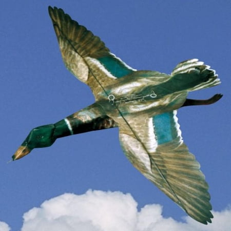 UPC 640346000311 product image for Jackite Mallard Duck Drake - Assembled | upcitemdb.com