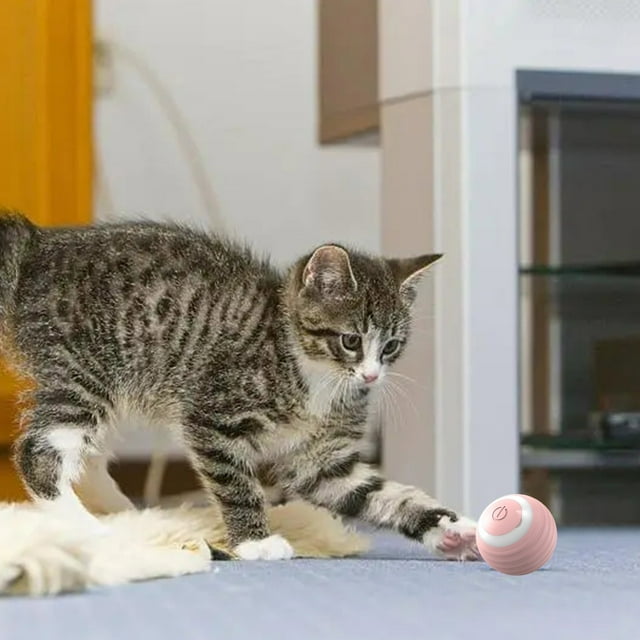 Jouets pour Animaux Bâton de Chat Auto-Amusant Jouet Électrique Roulant