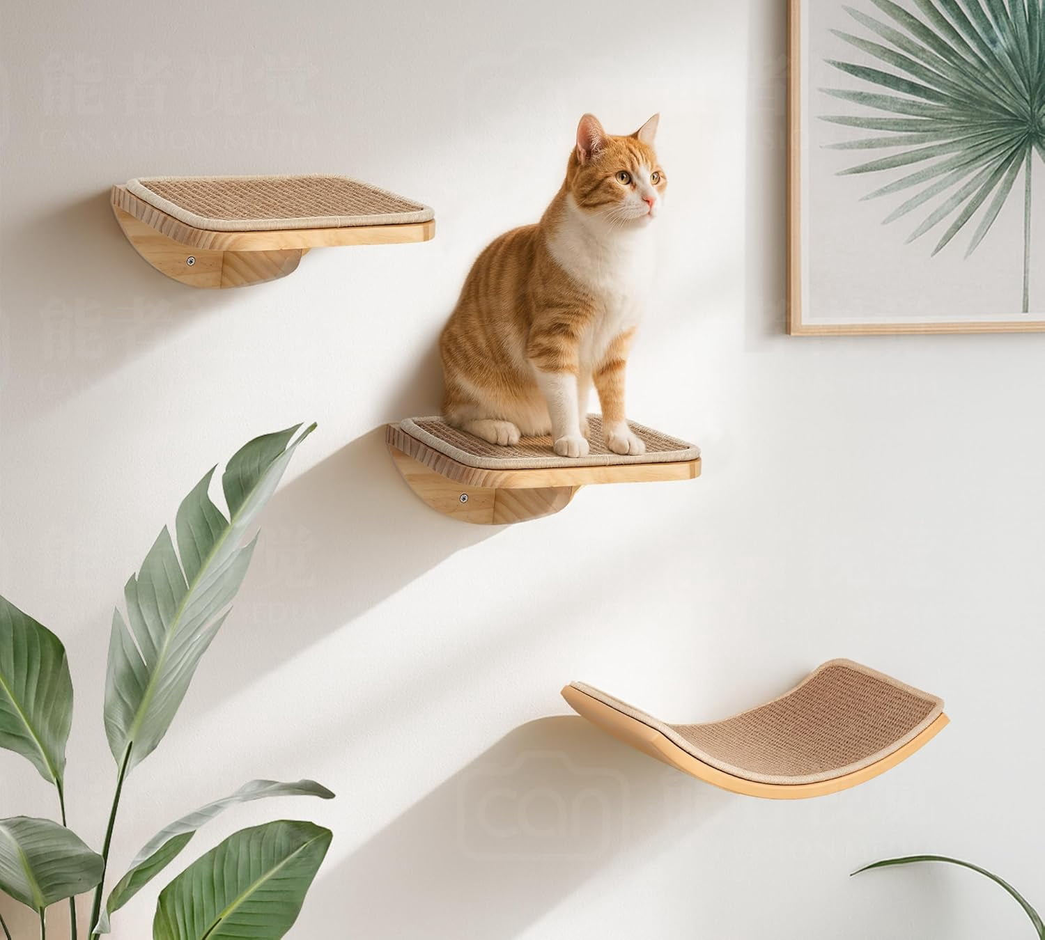 Peluomoz Curved Wood Cat Wall Perch – Wall-Mounted Floating Indoor Platform with Sisal Mat (Sleeper & Climb Shelf)