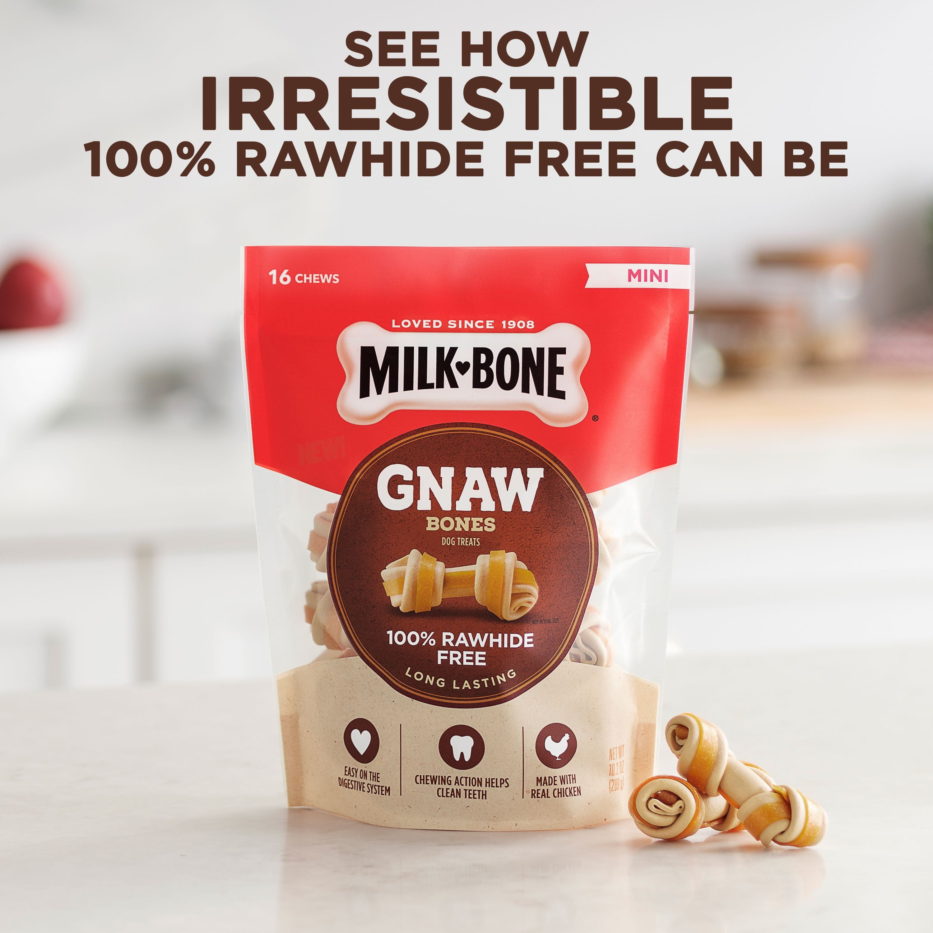 Gnaw Bones Milk Bone 2024 dvos