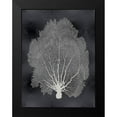thumbnail image 2 of Miller, Melonie 12x14 Black Modern Framed Museum Art Print Titled - Sea Fan on Black II, 2 of 5
