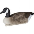 thumbnail image 5 of Storm Front Canada Goose Floater, Pack of 4, 5 of 5