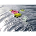 thumbnail image 3 of Weissing, Gerd 14x12 Black Modern Framed Museum Art Print Titled - Wassertraum, 3 of 5