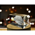 thumbnail image 2 of Brain Art | 3D Engraved Crystal Keepsake | Gift/Decor | Collectible | Clear | AB Crystal Collection, 2 of 6