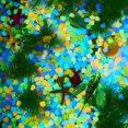 thumbnail image 3 of Piedras Luminiscentes Artificiales Que Brillan En La Oscuridad Piedras Decorativas Para Acuario Jardín Pecera 300 Uds. Guardurnaity VI011545-00, 3 of 6