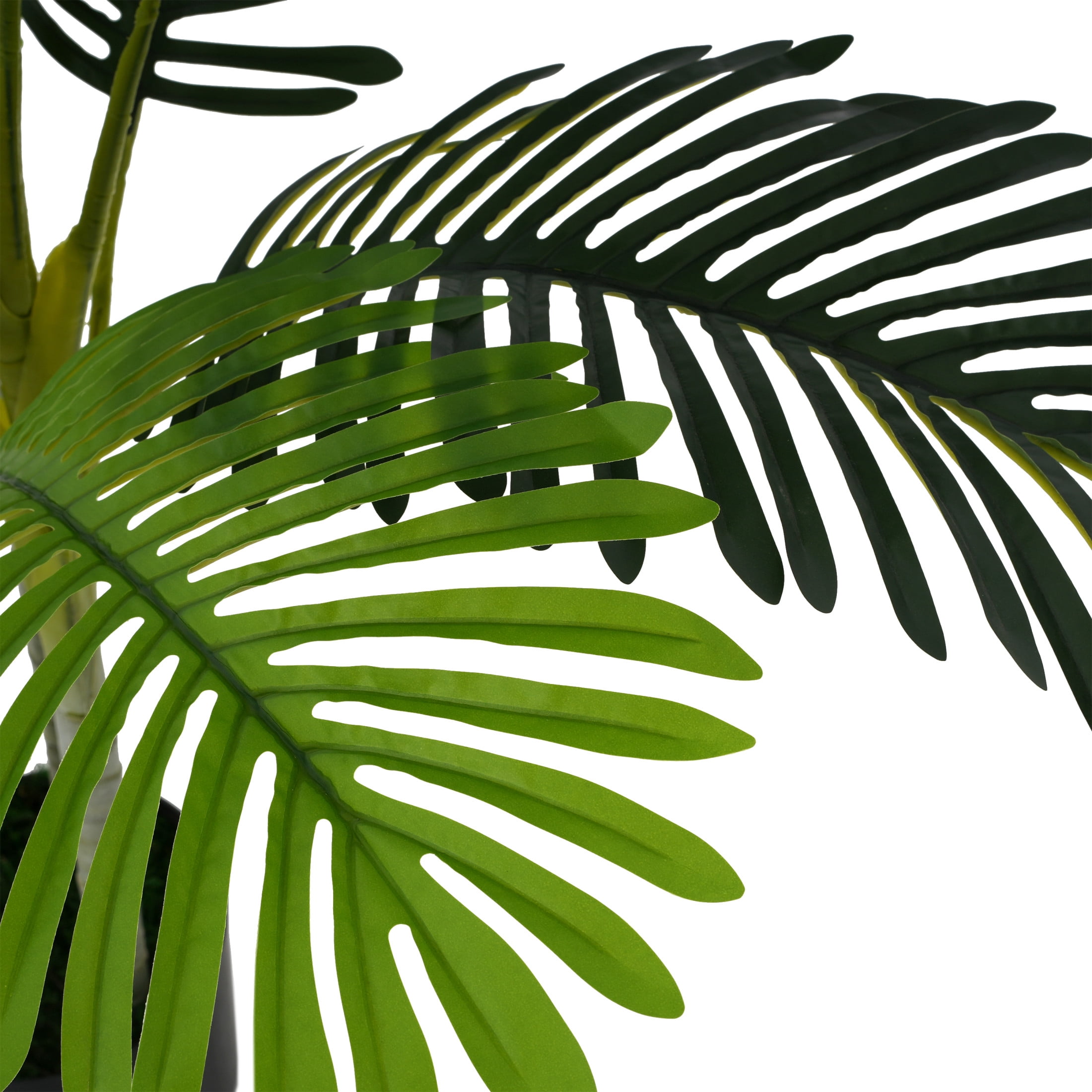 Christopher Knight Home 61" Artificial Palm Tree in Black Plastic Pot, Pre-Potted Faux Greenery Tree for Home Decor (Set of 2)