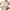 Beige, variant on Mlzmgr Plus Size Bras for Women Wireless Removerable Strap Breathable Lace Longline Bras with Support
