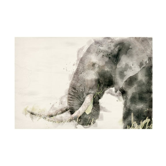 Trademark Fine Art Arno Du Toit Abstract African Elephant Watercolor Art Canvas Wall Art