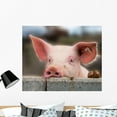 thumbnail image 1 of Cute Young Pig Wall Mural by Wallmonkeys Peel and Stick Graphic (36 in W x 30 in H) WM3233, 1 of 4