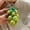 Grape Smiley Face Wool Felt Pendant, variant on New Korean colorful wool felt vegetable keychain pendant, cute, fashionable, and high-end bag accessory