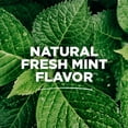 thumbnail image 4 of Enjuague bucal Tom's Of Maine Whole Care con flúor natural 480 ml x 3, 4 of 9