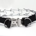 thumbnail image 2 of Big Dog Prong Collar, 2 of 5