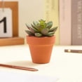 thumbnail image 4 of 20 Terracotta Pots, Mini Ceramic Plant Pots with Drainage Hole, for Cacti and Succulents Indoor, 4 of 5