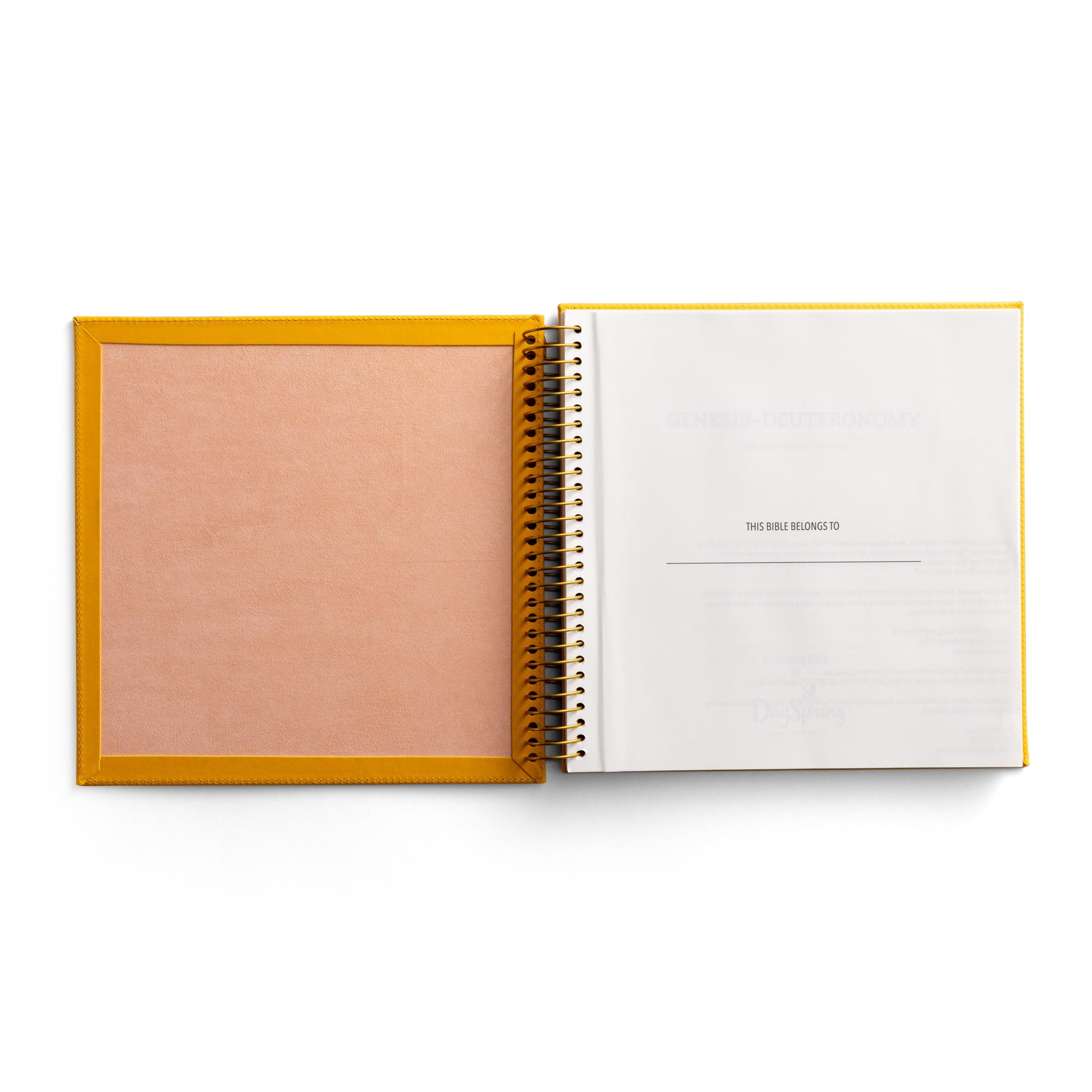 Illustrating Bible Niv: Genesis to Deuteronomy - Spiral Bound Bible Journal, (Spiral-Bound)
