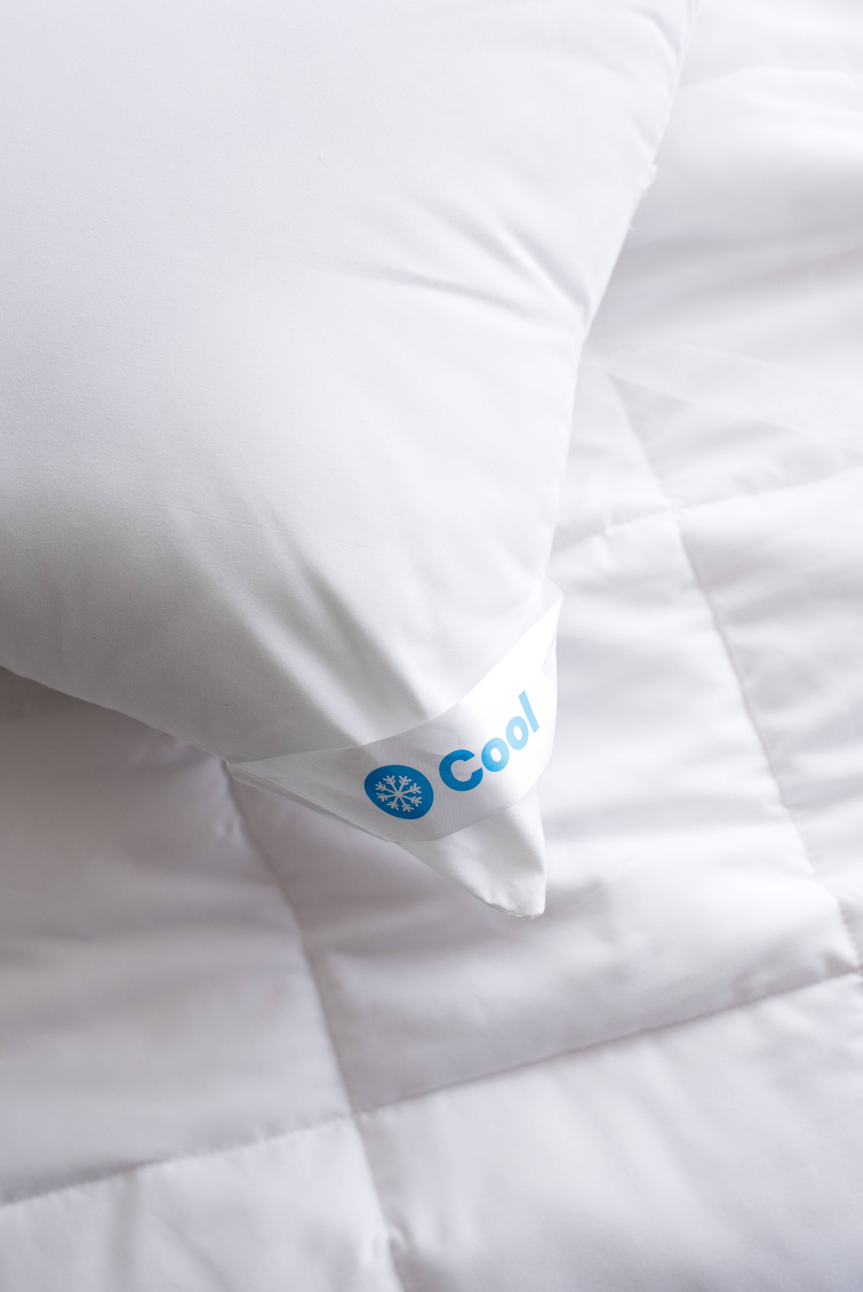 Sertapedic cool & crisp cheap pillow