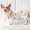 thumbnail image 5 of Pijama para perro, mono para perro con lindo, pijama para perro de 4 patas para perro pequeño y mediano Namotu CPB-DE-LYY2052-5, 5 of 5