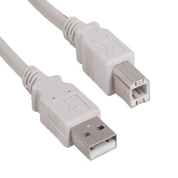 SANOXY Cables and Adapters; 6ft USB 2.0 A Male to B Male Cable, Ash White