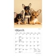 thumbnail image 3 of Chihuahua Puppies | 2027 7x14" (Hanging) Mini Wall Calendar, 3 of 9
