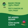 thumbnail image 3 of GoGo squeeZ Fruit Sauce Snack Pouches Variety, Apple, Apple Strawberry, No Sugar Added, Box of 12 Pouches, 3 of 7