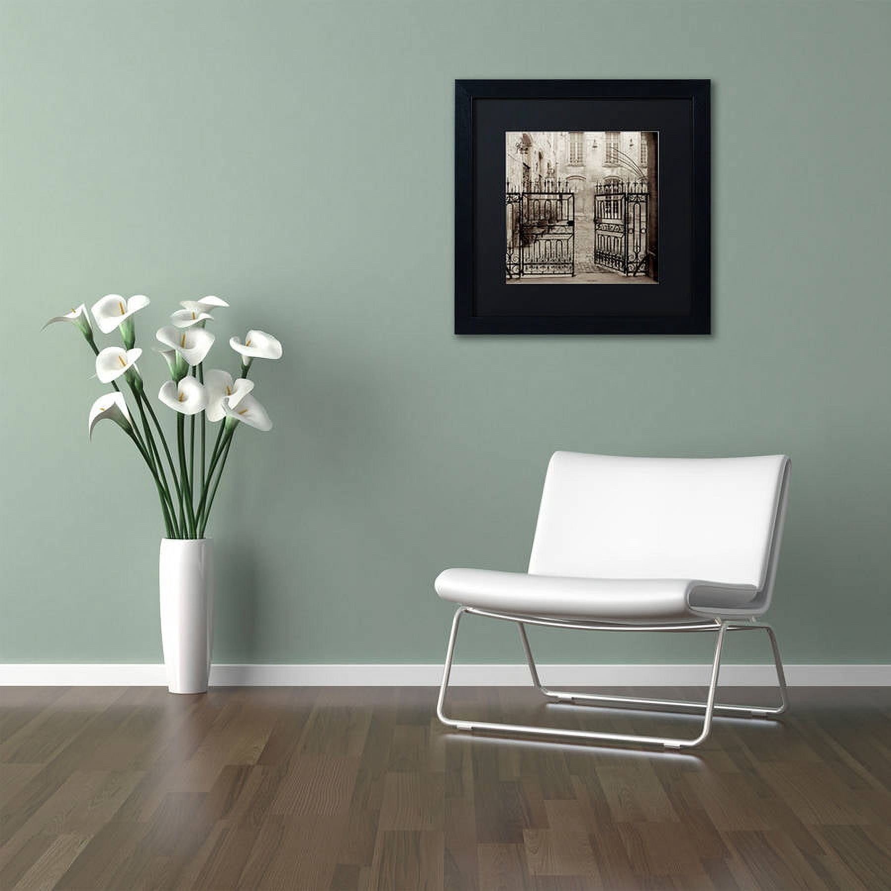 Trademark Fine Art "Avignon II" Canvas Art by Alan Blaustein, Black Matte, Black Frame