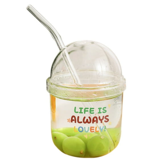 Glass Tumbler with Straw and Lid 430ML Heat Resistant Juice Drinking Cup Clear Coffee Smoothie Cup for Home Outdoor Travel