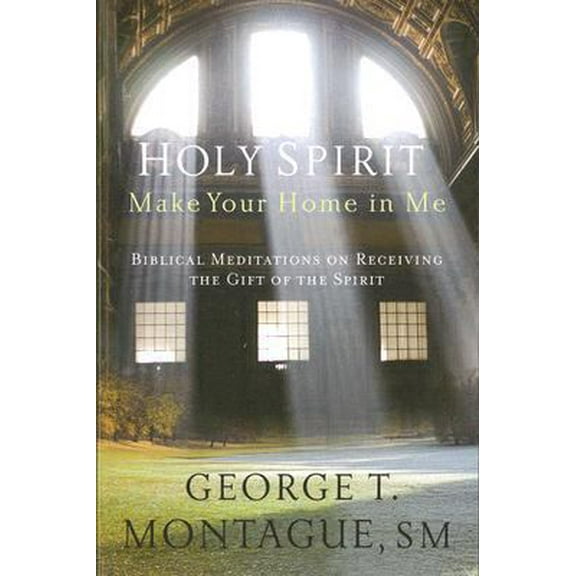 Pre-Owned Holy Spirit, Make Your Home in Me: Biblical Meditations on Receiving the Gift of the Spirit (Paperback) 1593251289 9781593251284