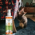 thumbnail image 4 of Creatine Cat Spray Natural Scratch Spray To Cats From Scratching And Gardens Leaving No Marks Or Traces. A Training And Behavior Aid For Indoor Use.100ML, 4 of 6